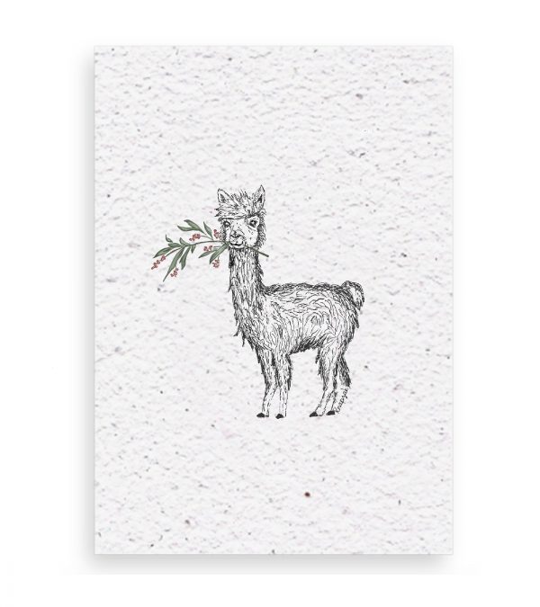 kerstkaart alpacca met takje